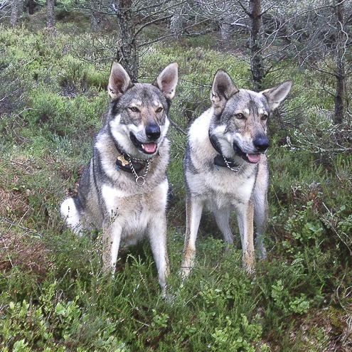 Marcia, Seb & Kodi, Buckie