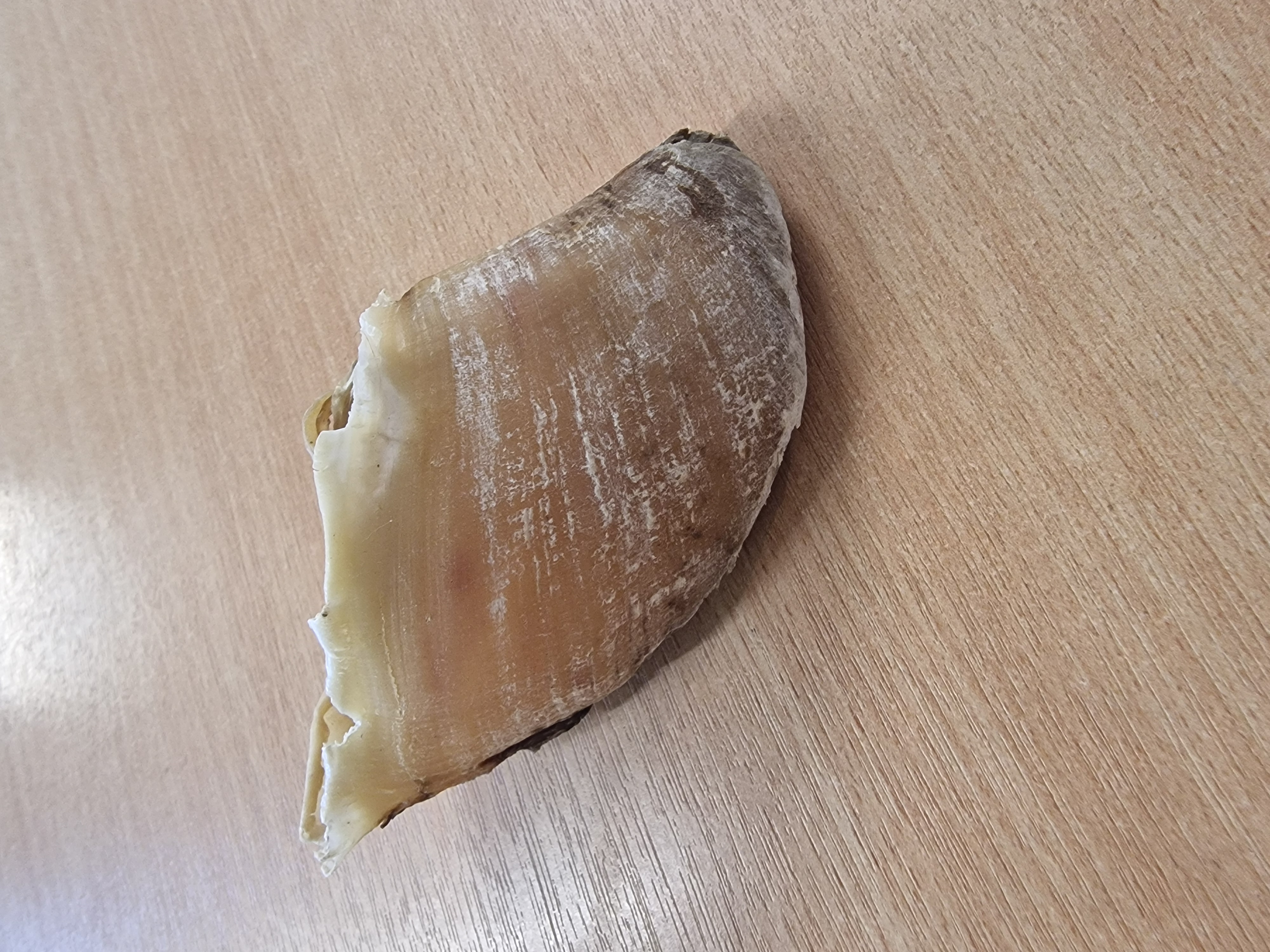 Empty Hoof