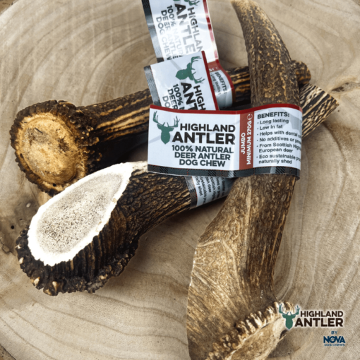 Highland Antler - Jumbo (Min 270g)