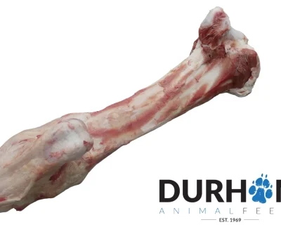 DAF - Jurassic Bone - 1pc