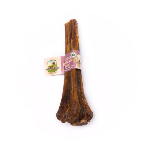 Ostrich Metatarsus Bone - 1pc