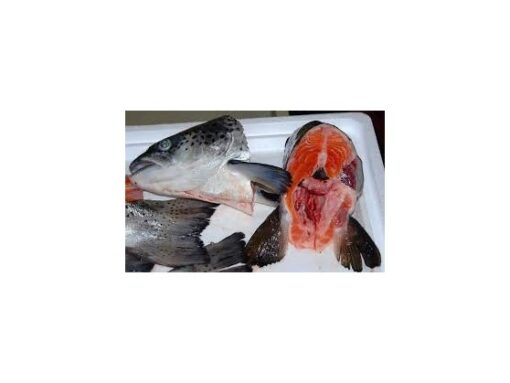 DAF - Salmon Heads - 3 pcs