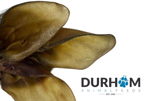 Cow Ear (No Hair) - 1pc