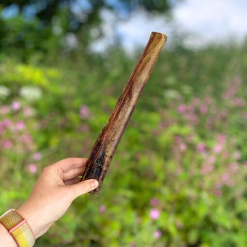 Ostrich Marrow Bone - Approx 18cm