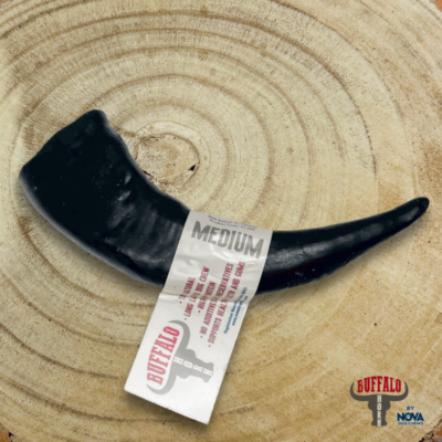 Buffalo Horn - Medium