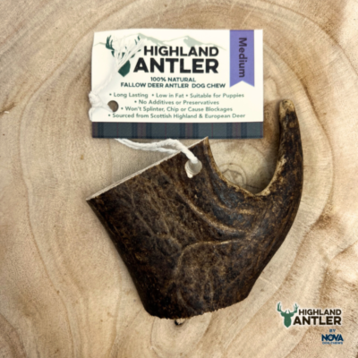 Fallow Antler - Medium (Min 75g)