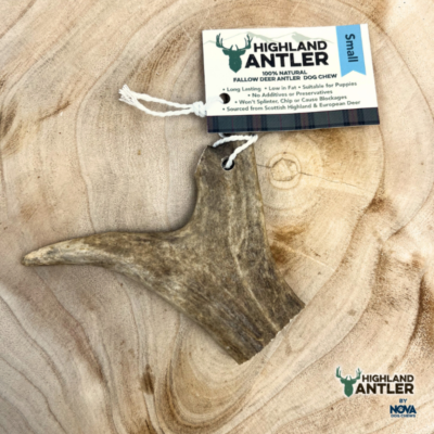 Fallow Antler - Small (Under 75g)
