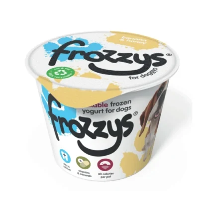 Frozzy’s Frozen Yoghurt – Banana & Honey – 85g