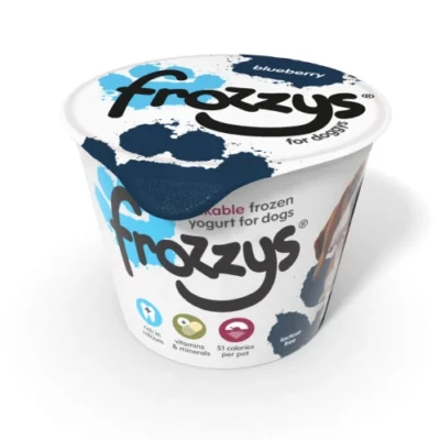 Frozzy’s Frozen Yoghurt – Blueberry – 85g