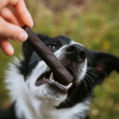 Ostrich Prime Tender Stick - 1pc
