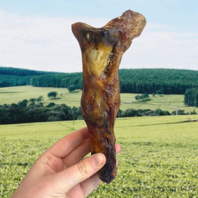 Ostrich Foot Large - 1pc