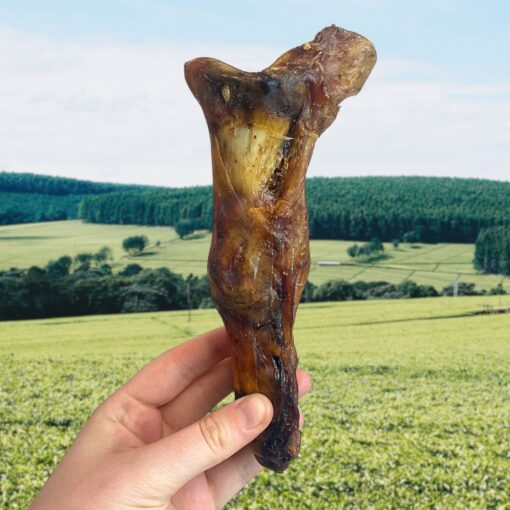 Ostrich Foot Large - 1pc