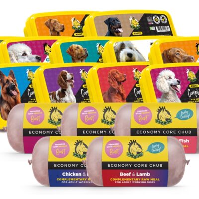 ProDog