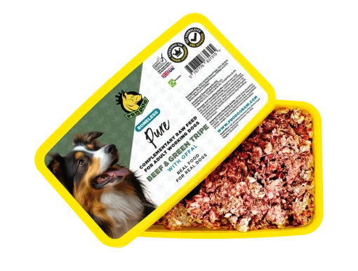 Prodog – Beef & Green Tripe with Offal – 500g