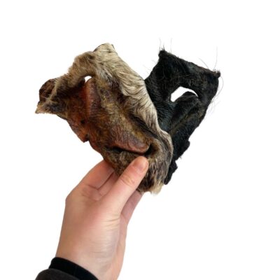 Hairy Beef Snout - 1pc