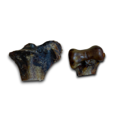 Ostrich Knuckle Bone - Large