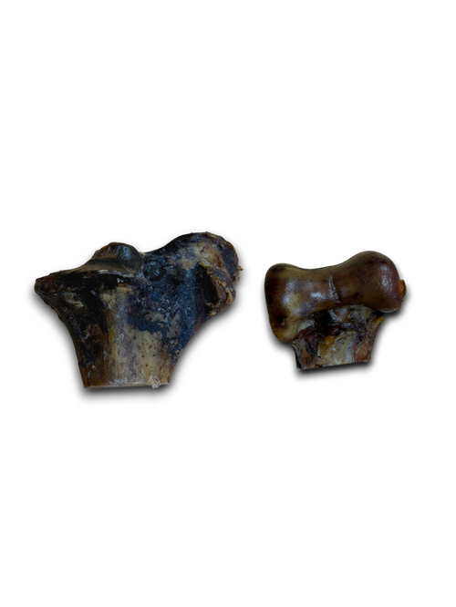 Ostrich Knuckle Bone - Medium