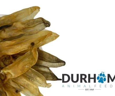 Dried Rabbit Ears (No Fur) - 200g