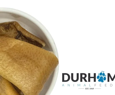 Wild Boar Skin - 200g