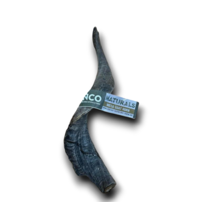 Anco - Mega Goat Horn - 1pc