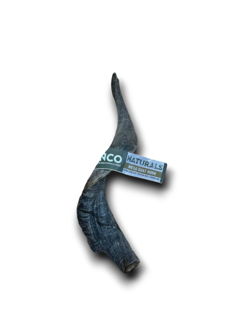 Anco - Mega Goat Horn - 1pc