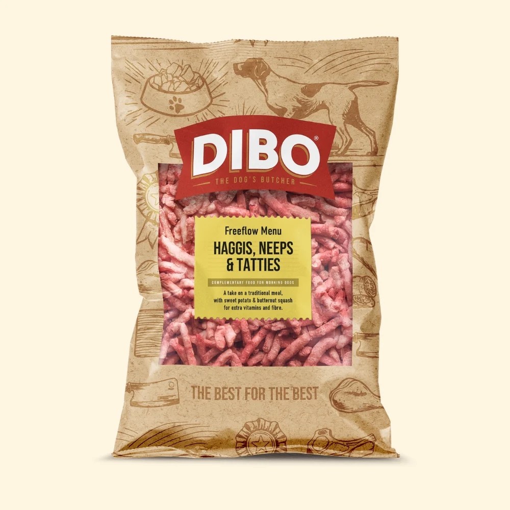 Dibo