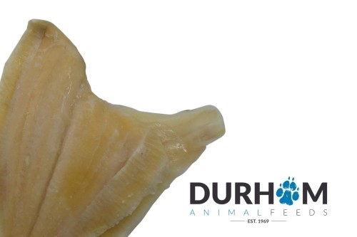 DAF - Plaice Fillets - 1kg