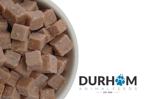 DAF - Salmon Cubes - 1kg