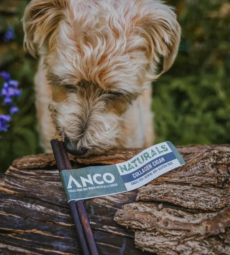 Anco - Collagen Cigar - 1pc