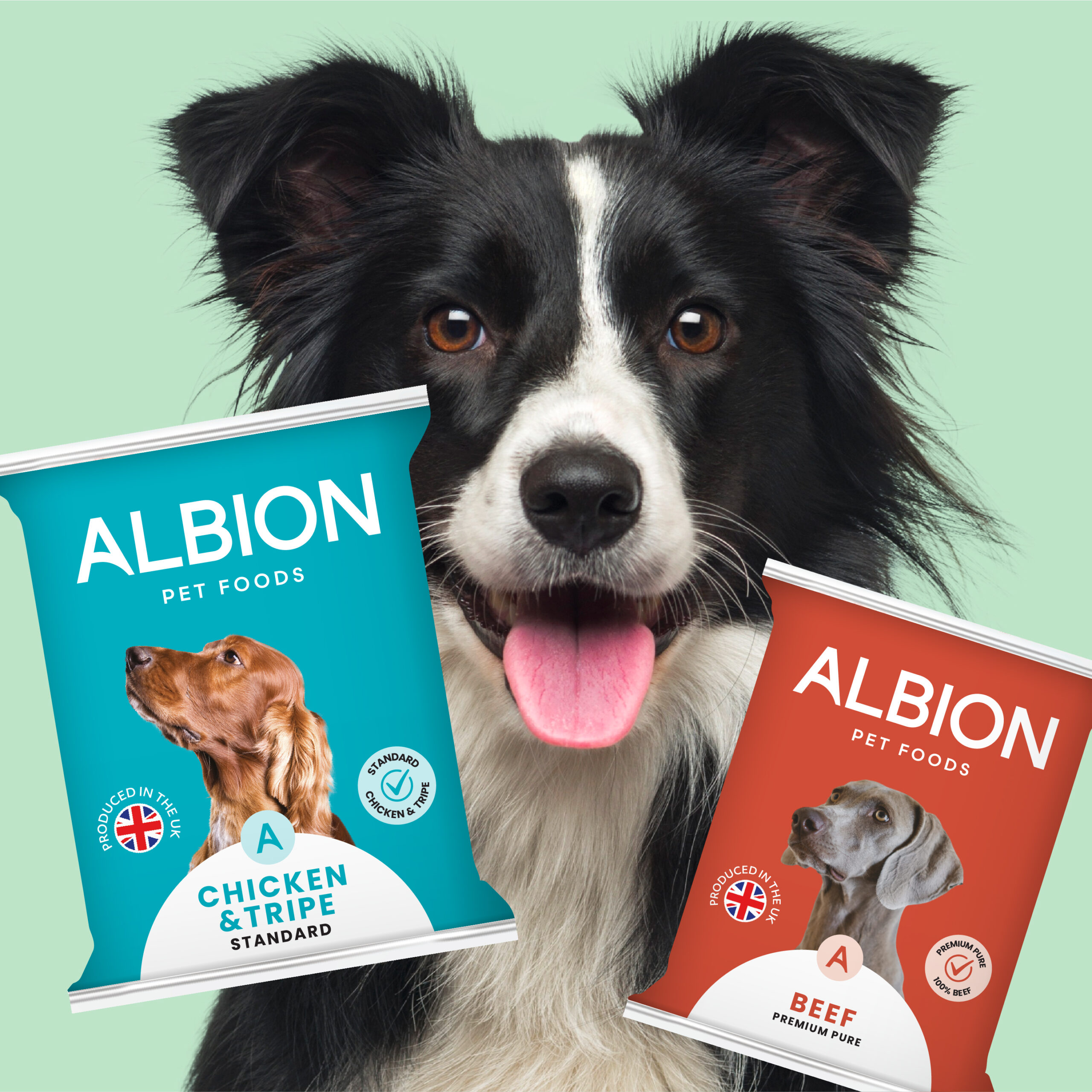 Albion Pet Foods
