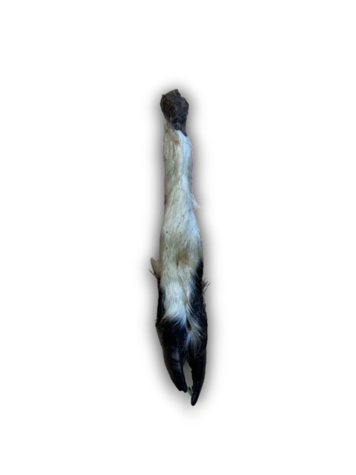 Hairy Lamb Trotter - 1pc