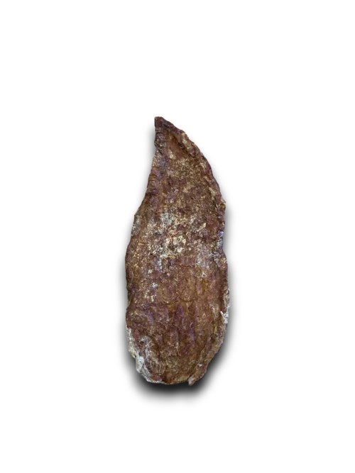Beef Udder Steak - 1pc