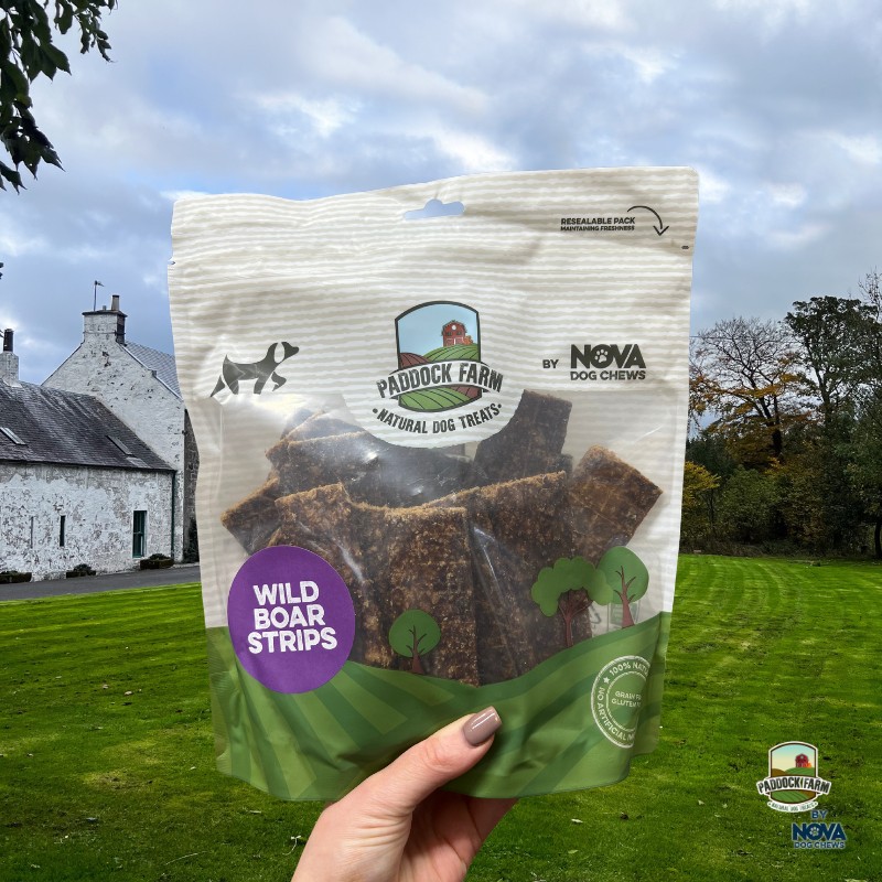 100% Wild Boar Strips - 500g