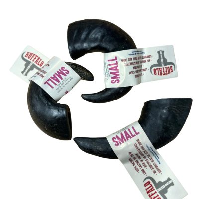 Buffalo Horn - Small